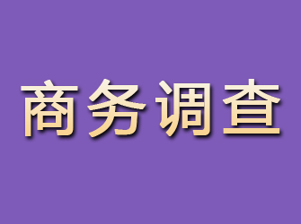 滨湖商务调查